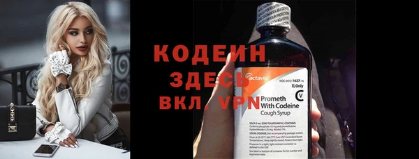 прущие грибы Арсеньев