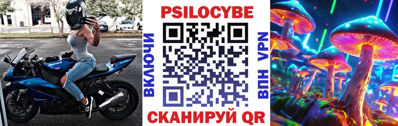 blacksprut вход  Краснотурьинск  Псилоцибиновые грибы Cubensis 